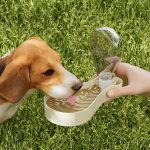 Double-walled pet water bottle, outdoor feeder, dual-purpose cat and dog food box, portable pet travel cup - Image 4